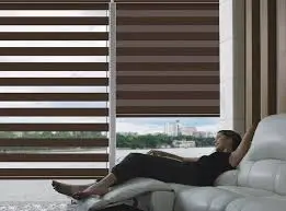 Zebra shade sheer and solid band detail